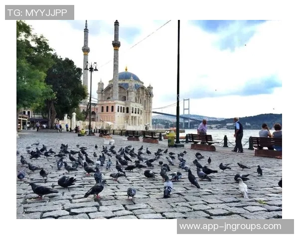 萨内顺利融入加拉塔萨雷计划12月全家迁往土耳其生活 萨内顺利融入加拉塔萨雷计划12月全家迁往土耳其生活